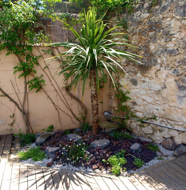 Le Relais D'Angelique Bed & Breakfast Lunel  Exterior foto